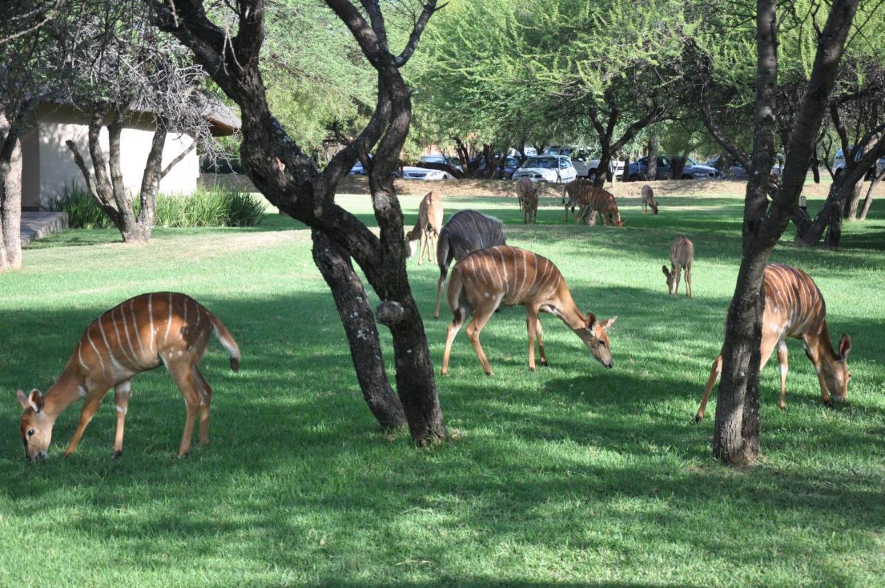 Mongena Private Game Lodge Rust de Winter Esterno foto