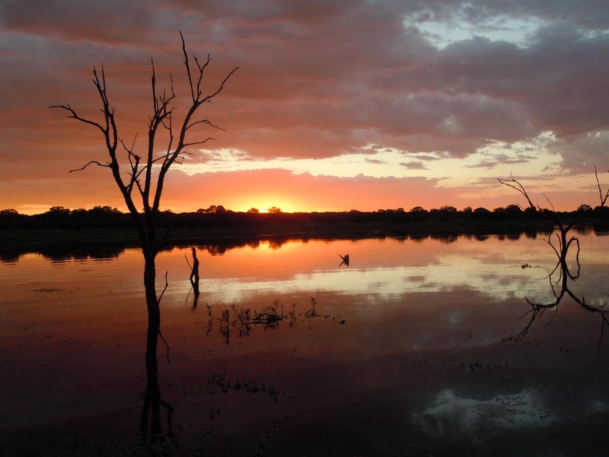 Mongena Private Game Lodge Rust de Winter Esterno foto
