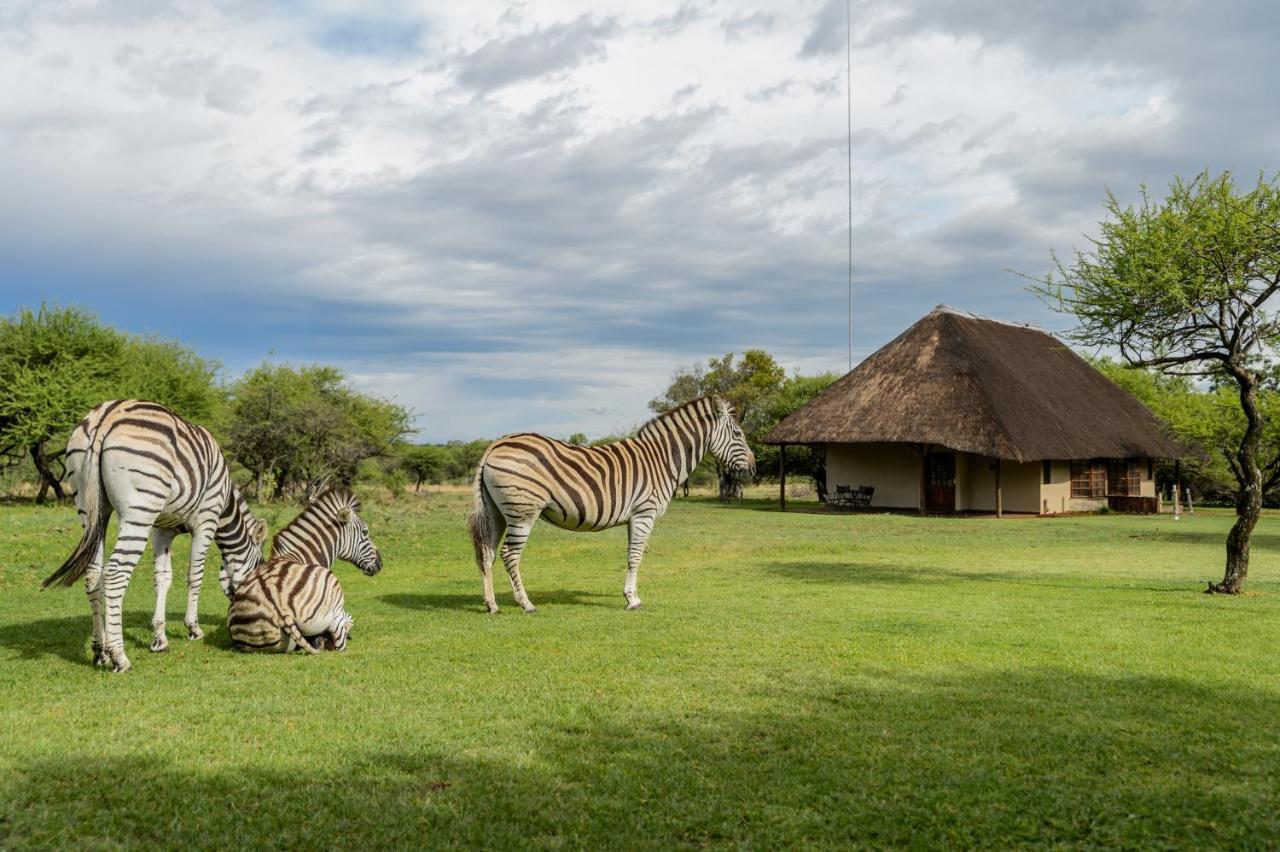 Mongena Private Game Lodge Rust de Winter Esterno foto
